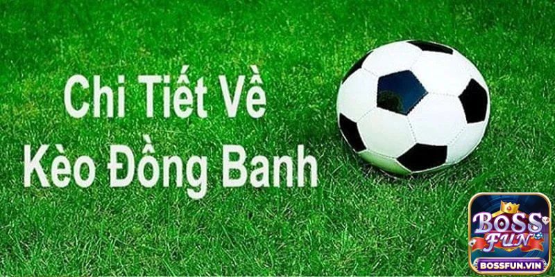 Chia sẻ kinh nghiệm đánh kèo đồng banh cực chuẩn