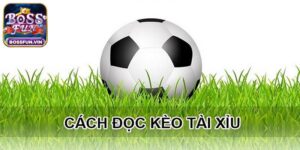 Cách đọc kèo tài xỉu bóng đá nhanh thắng nhất