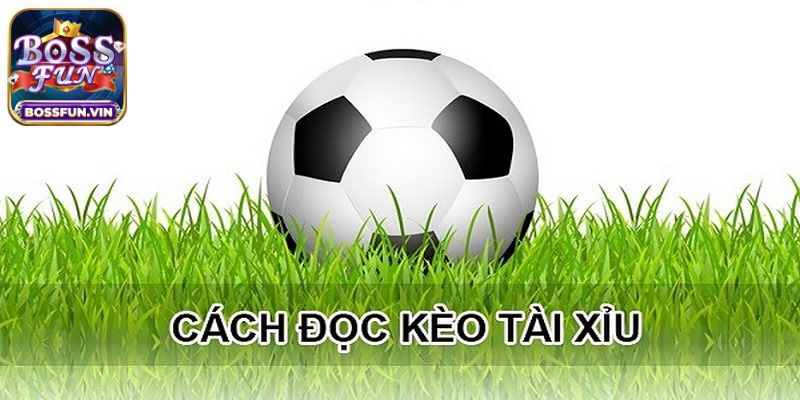 Cách đọc kèo tài xỉu bóng đá nhanh thắng nhất