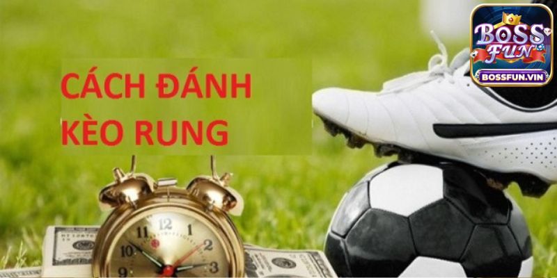 Chia sẻ kinh nghiệm bắt kèo rung